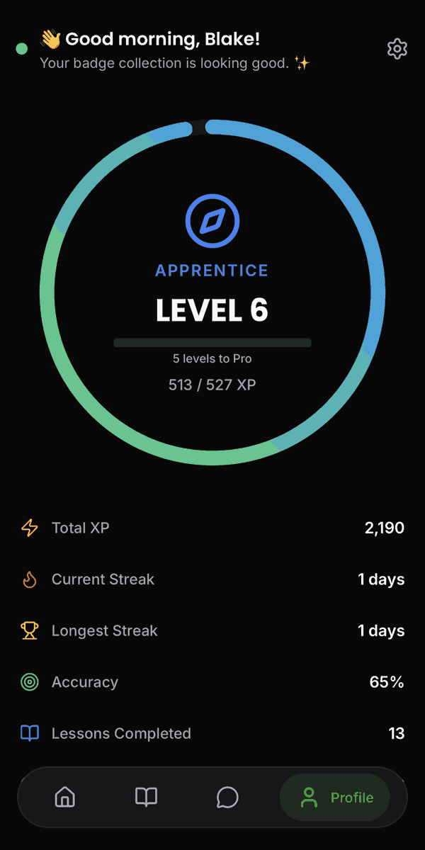 A student’s profile with their learning stats